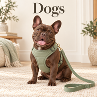 Dogs