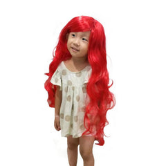 Halloween Princess Dress Accessories with Wig Set