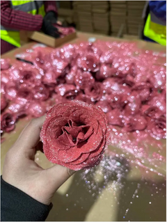 Timeless Modern Art Flower Gift