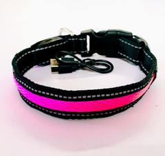 LED Dog Leash with Fluorescent Dog Collar