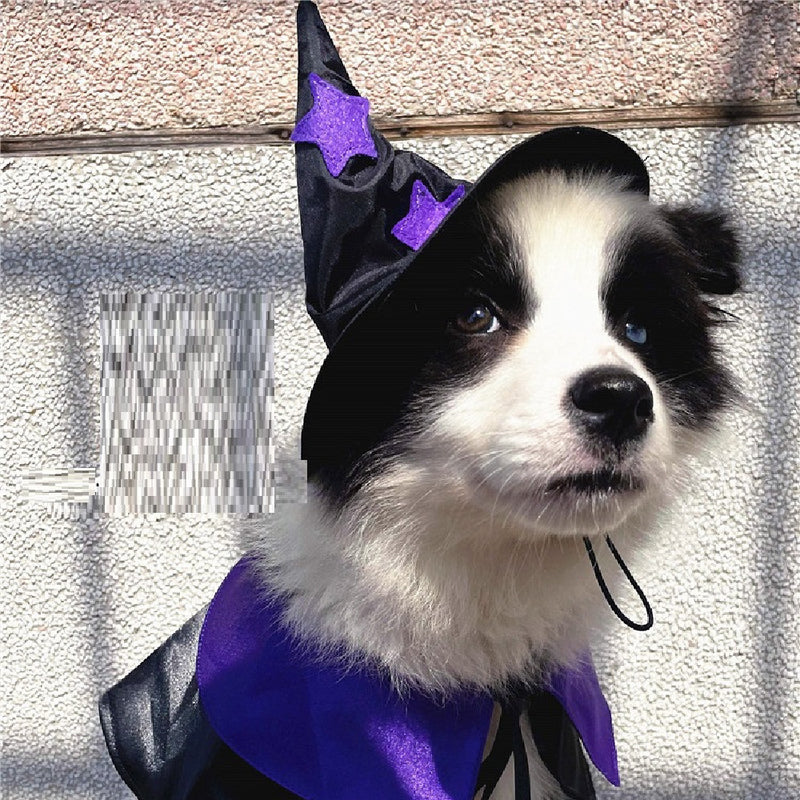 Pet Halloween Wizard Costume Decoration Set
