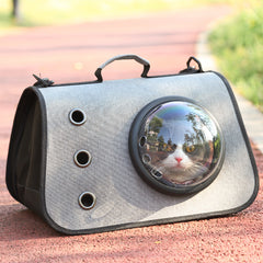 Foldable Cat Backpack with Breathable Mesh Design